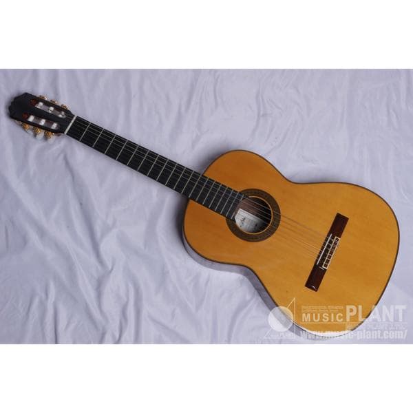 Aria AC-80 Lefty