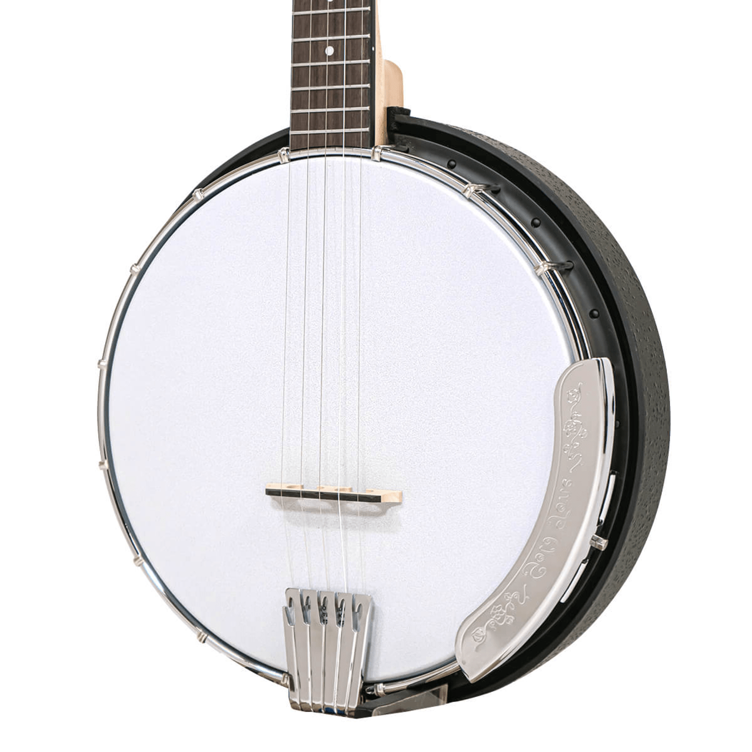 AC-5 Acoustic Composite Left-Handed 5-String Resonator Banjo