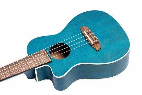 Ortega RUOCEAN-CE-L - Lefty Concert Acoustic/Electric Ukulele - Earth Series
