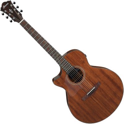 Ibanez AE295L-LGS Westerngitarre Lefthand