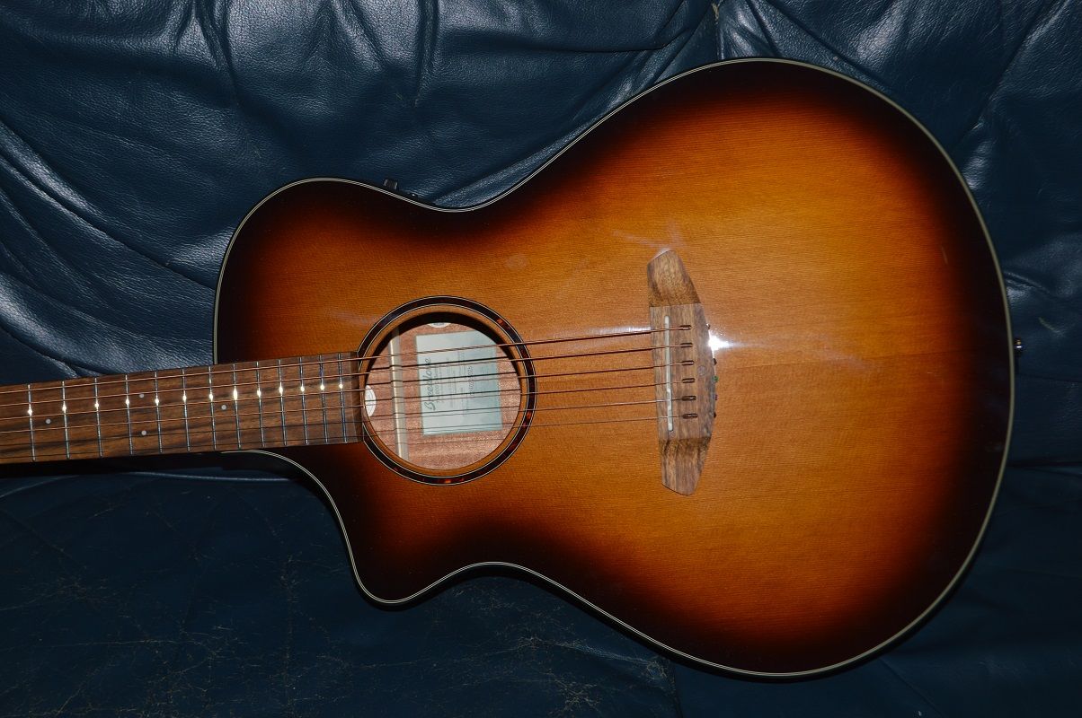Breedlove Left Hand Guitar