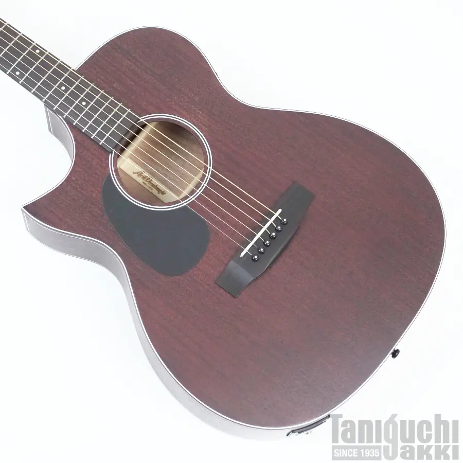 Aria AF-101MHCE-LH 入門セット付【レフトハンド/左利き用】