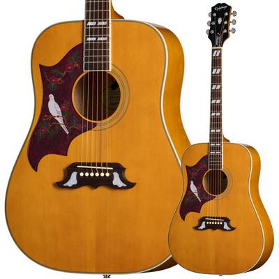 Epiphone Dove Studio Left-Handed Natural アコースティックギター エレアコ ナチュラル レフトハンド レフティ 左利き用 エピフォン EASDVANNH1L