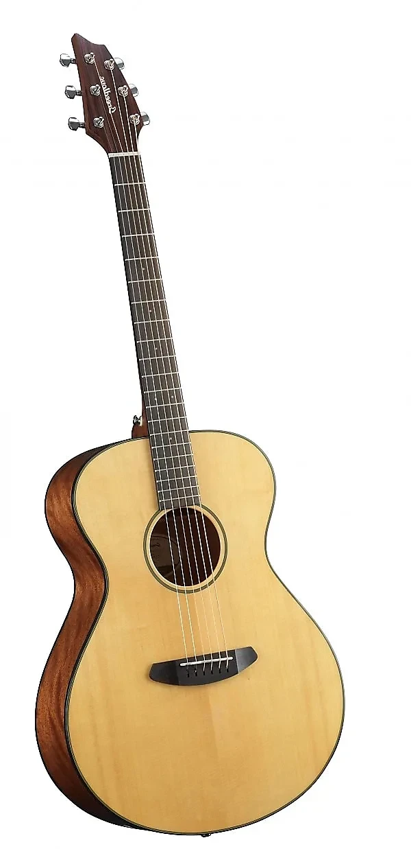 その他 2022 Breedlove - Discovery S Concert *Left Hand* - Natural