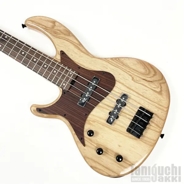 Aria ProII RSB-700WP/Lefty (NT)